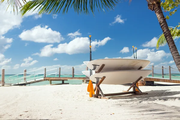 Szörfdeszkák a trópusi strandon Stock Kép