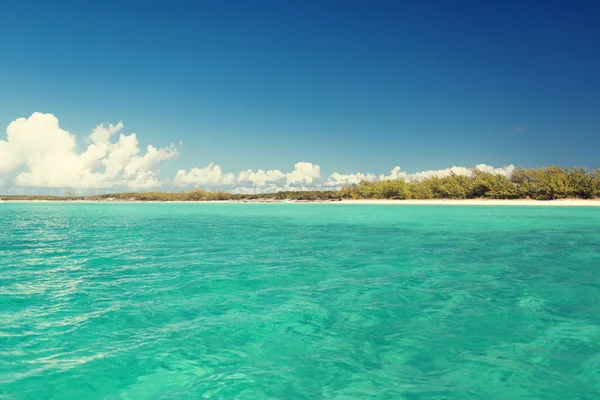 Mare blu o oceano, spiaggia e foresta — Foto Stock