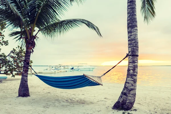 Rede na praia tropical — Fotografia de Stock