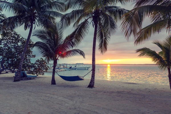 Hamaca en la playa tropical —  Fotos de Stock