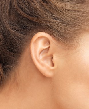 close up of womans ear clipart