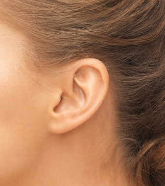 close up of womans ear clipart