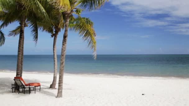 Тропічний пляж з пальмами і лаунжем — стокове відео