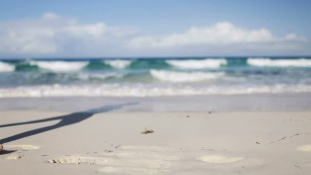 Närbild på kvinnan ben gå på stranden — Stockvideo