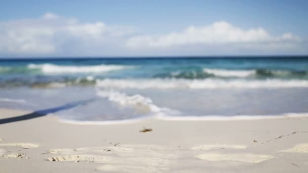 Primo piano di gambe di donna che camminano sulla spiaggia — Video Stock