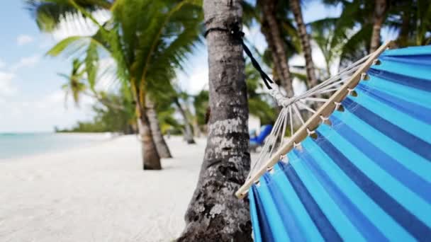 Närbild på hängmatta svängande på tropical beach — Stockvideo