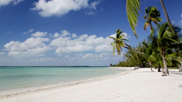 Playa tropical con palmeras y barco — Vídeo de stock