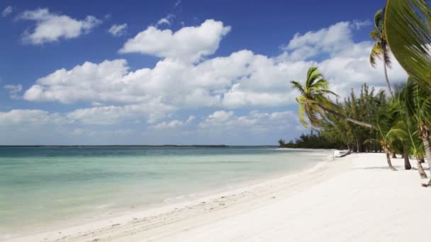 Playa tropical con palmeras y barco — Vídeo de stock