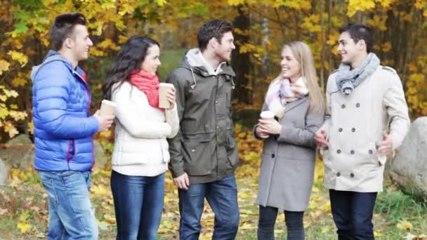 Grup gülümseyen kadın ve erkek sonbahar park — Stok video