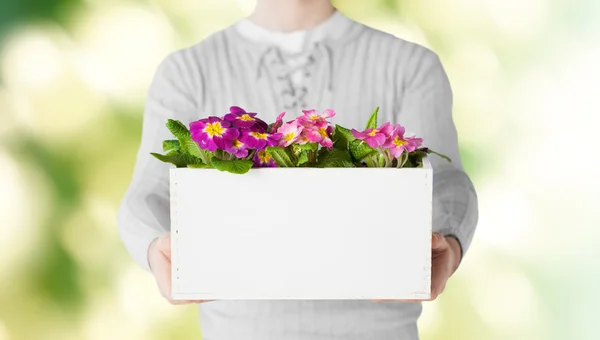 Primer plano del hombre sosteniendo maceta grande con flores — Foto de Stock