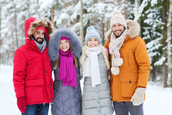 Group of smiling men and women in winter forest — Stock Photo, Image