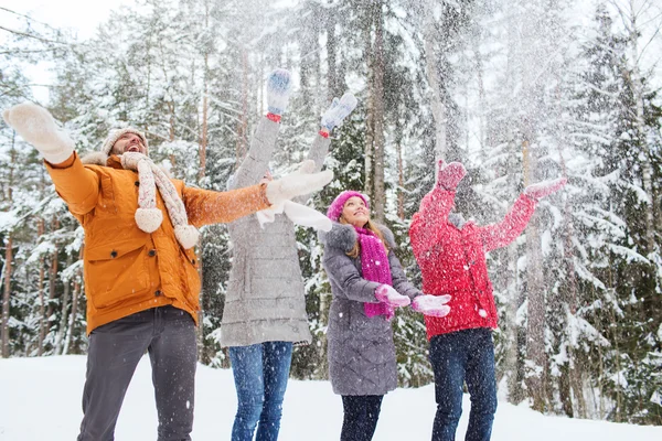 Group of smiling men and women in winter forest — Stock Photo, Image