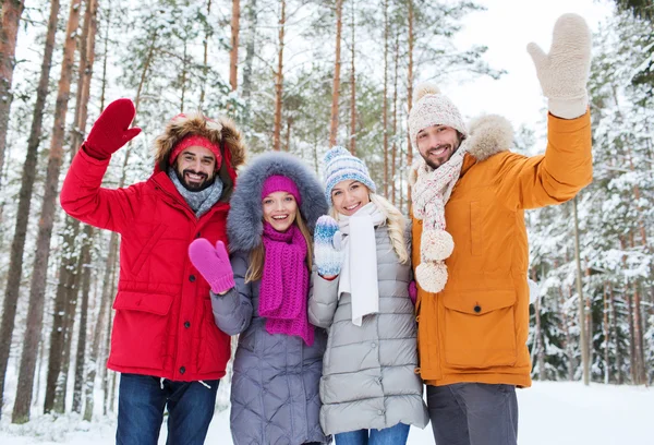 Grupo de amigos acenando as mãos na floresta de inverno — Fotografia de Stock