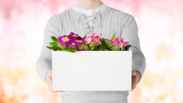 Close up of man holding big pot with flowers — Stock Photo, Image