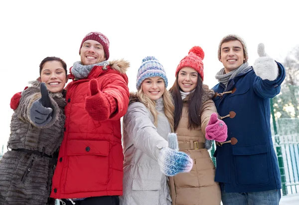 Grupo de hombres y mujeres sonrientes en el bosque de invierno — Foto de Stock