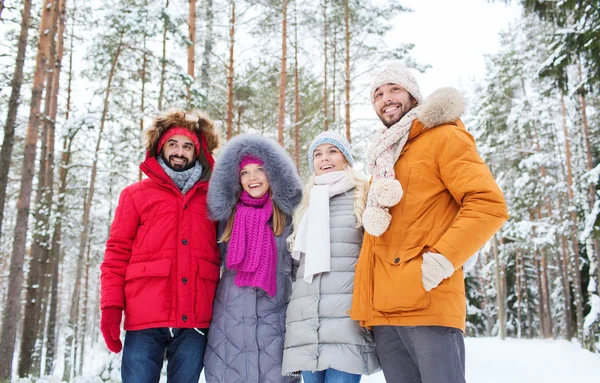 Grupo de homens e mulheres sorridentes na floresta de inverno — Fotografia de Stock