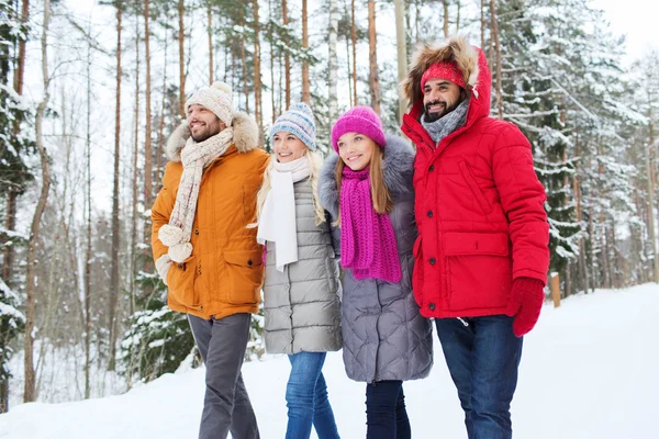 Grupa uśmiechający się mężczyzn i kobiet w zimowym lesie — Zdjęcie stockowe
