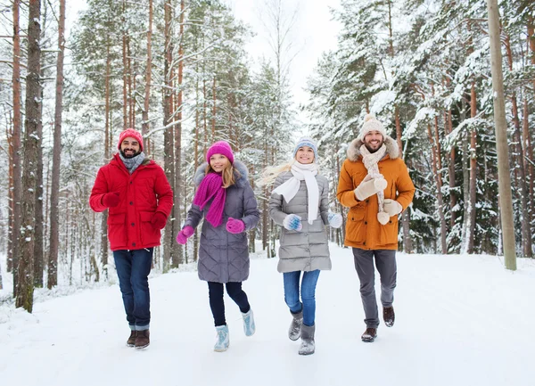 Grupo de homens e mulheres sorridentes na floresta de inverno — Fotografia de Stock