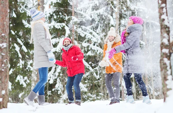 Groep gelukkige vrienden spelen sneeuwballen in bos — Stockfoto