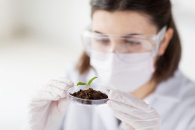 close up of scientist with plant and soil in lab clipart
