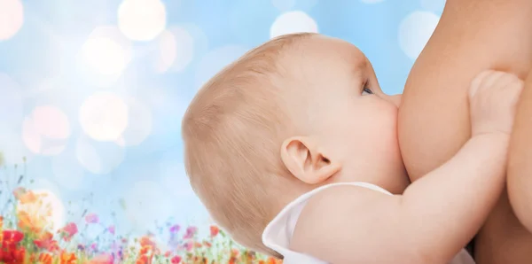 Close up of mother breast feeding adorable baby — Stock Photo, Image