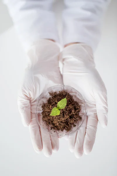 Närbild av vetenskapsman händer med växter och jord — Stockfoto
