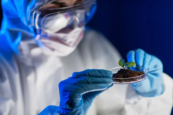Крупним планом вчений з рослиною і грунтом в лабораторії — стокове фото
