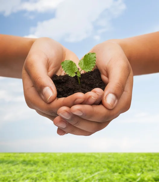 Woman hands holding plant in soil — Stock Photo, Image