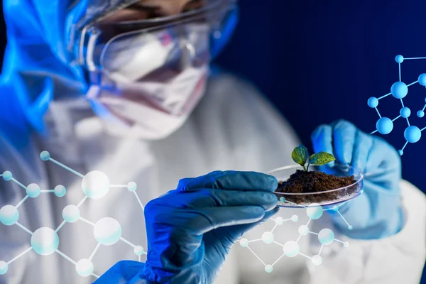 Close up of scientist with plant and soil in lab — Stock Photo, Image