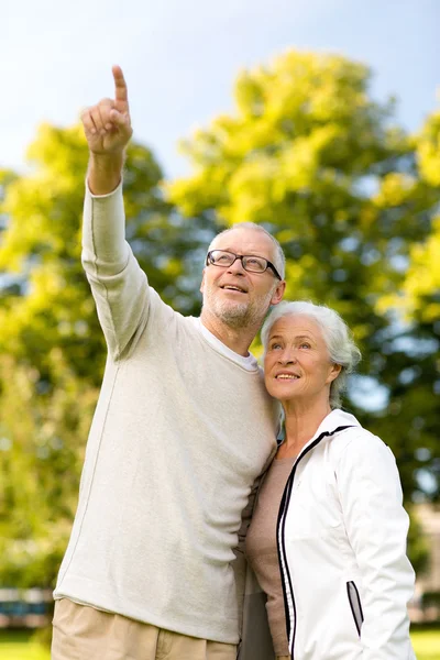 Senior koppel knuffelen in park — Stockfoto