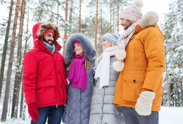 Group of smiling men and women in winter forest — Stock Photo, Image