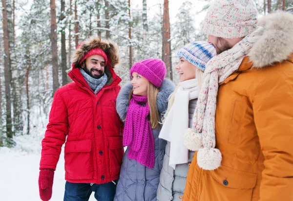 Groep glimlachend mannen en vrouwen in winter forest — Stockfoto