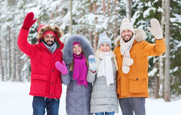 Groupe d'amis agitant les mains dans la forêt d'hiver — Photo