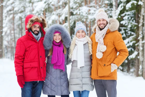 Groupe d'hommes et de femmes souriants dans la forêt d'hiver — Photo