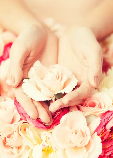 Mulheres mãos segurando rosa — Fotografia de Stock