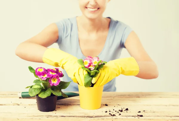 Housewife with flower in pot and gardening set — Stock Photo, Image