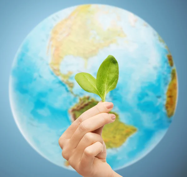 Woman hand with green sprout over earth globe — Stock Photo, Image