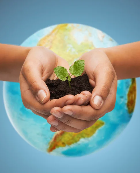 Mano donna con germoglio verde sul globo terra — Foto Stock