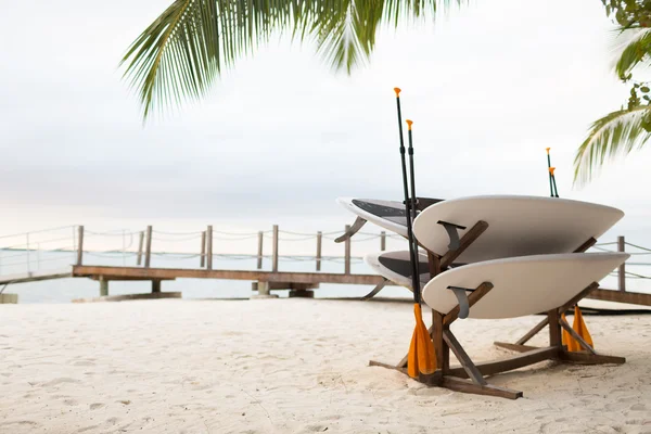 Surfingbrädor på Tropical Beach — Stockfoto