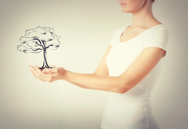 Woman with small tree in her hands — Stock Photo, Image