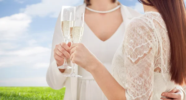 Şampanya bardağı ile lezbiyen çift — Stok fotoğraf