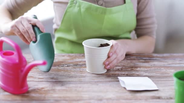 Primer plano de la mujer sembrando y regando semillas — Vídeos de Stock