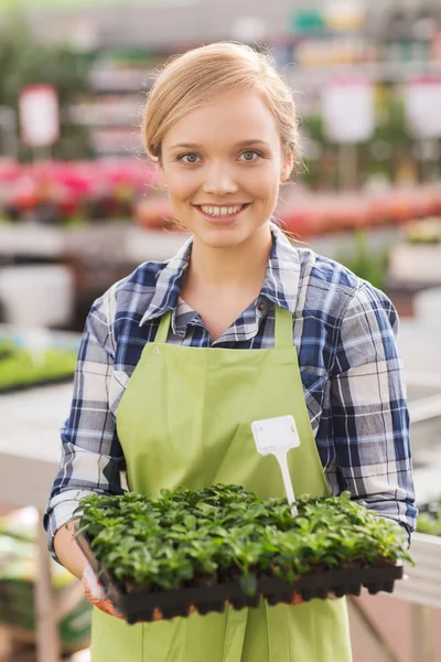 Glad kvinna med plantor i växthuset — Stockfoto