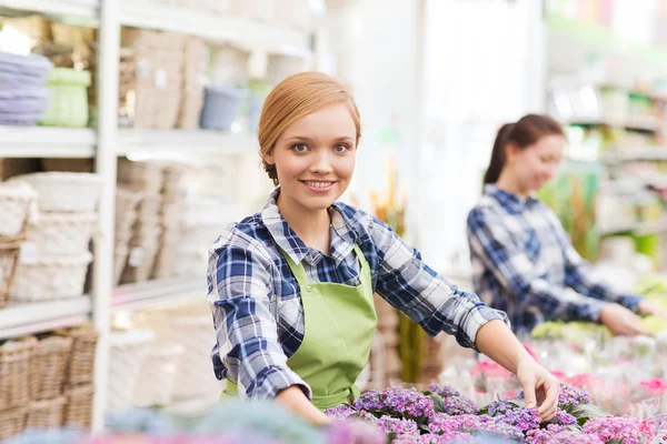 Happy woman taking care of flowers in greenhouse — Stock Photo, Image