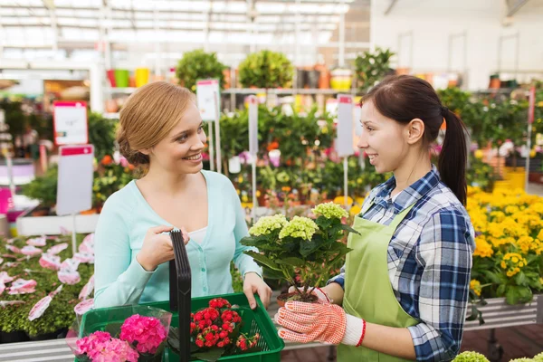 Glada kvinnor välja blommor i växthus — Stockfoto