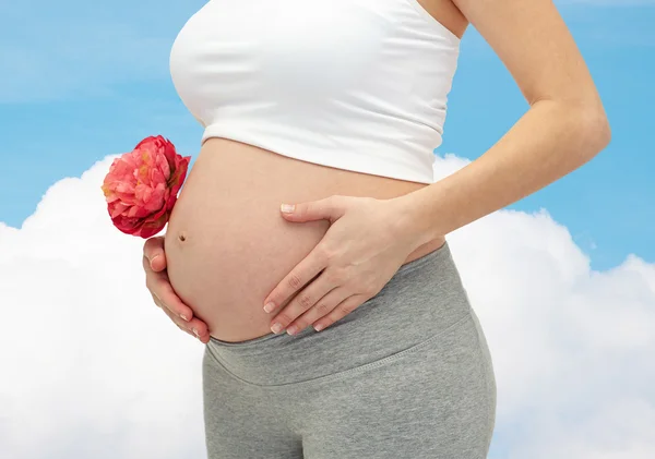 Gros plan de la femme enceinte touchant son ventre nu — Photo