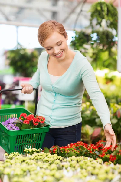 Happy woman with shopping basket choosing flowers — Stock Photo, Image