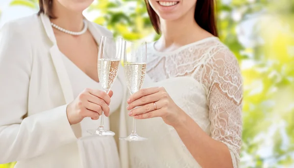 Close up of lesbian couple with champagne glasses — Stock Photo, Image