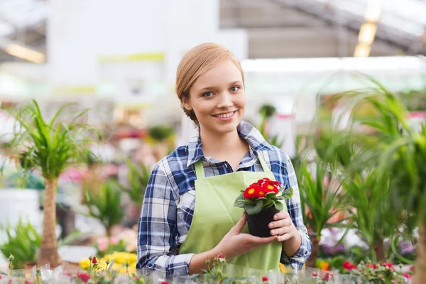 Mujer feliz sosteniendo flores en invernadero — Foto de Stock