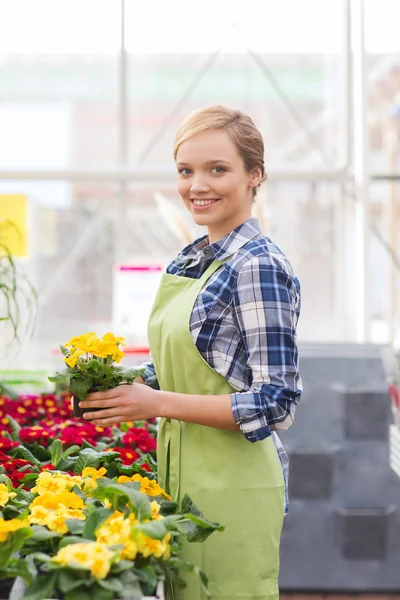 Mujer feliz sosteniendo flores en invernadero — Foto de Stock